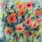 African daisies